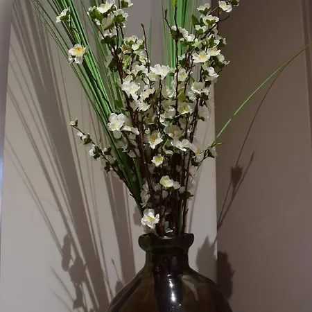 La Sarlamandre, Et Table D'hotes Konukevi Marcillac-Saint-Quentin